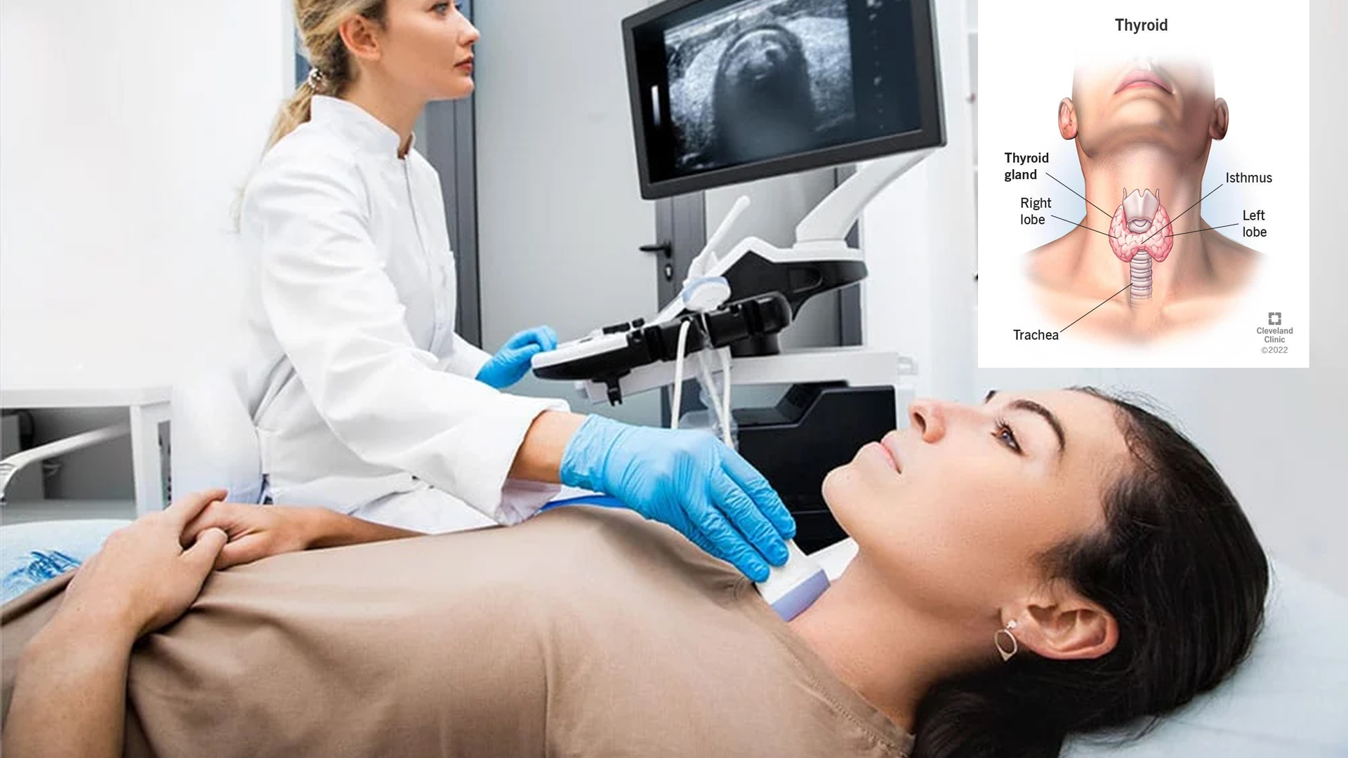 갑상선 결절과 갑상선 암의 차이를 초음파 화면으로 진단하는 의사를 나타낸 이미지